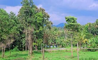 Residential Land for Sale in Kollam, Pathanapuram, Pathanapuram, connecting rd between Karamood and Manchalloor