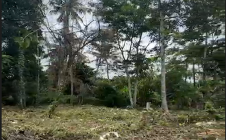 Residential Land for Sale in Thrissur, Thrissur, Kariattukkara, karyattukara
