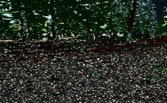 Residential Land for Sale in Kottayam, Kuruppanthara, Kuruppanthara, Opp Toddy Shop, Kuruppanthara, Kottayam