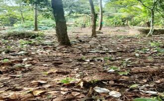 Residential Land for Sale in Kottayam, Kuruppanthara, Kuruppanthara, Opp Toddy Shop, Kuruppanthara, Kottayam