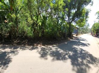 Residential Land for Sale in Kottayam, Kuruppanthara, Kuruppanthara, Opp Toddy Shop, Kuruppanthara, Kottayam