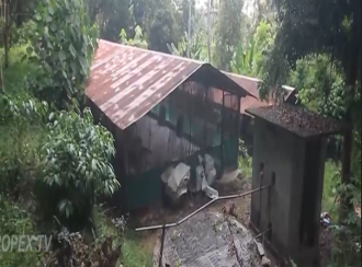 Residential House Villa for Sale in Ernakulam, Aluva, Aluva, south vazhakkula