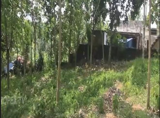 Residential House Villa for Sale in Ernakulam, Aluva, Aluva, south vazhakkula
