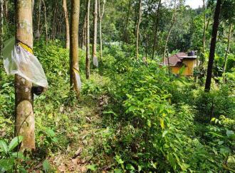 Residential Land for Sale in Pathanamthitta, Kozhencherry, Mekozhoor