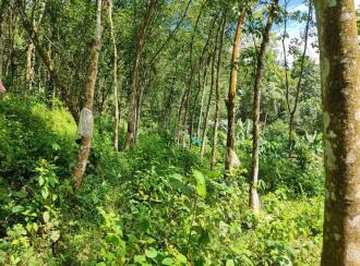 Residential Land for Sale in Pathanamthitta, Kozhencherry, Mekozhoor
