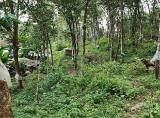 Residential Land for Sale in Pathanamthitta, Kozhencherry, Mekozhoor