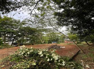 Residential Land for Sale in Kollam, Kollam, Punthalathazham