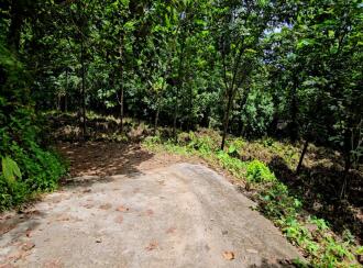 Residential Land for Sale in Kottayam, Pala, Kadaplamattom