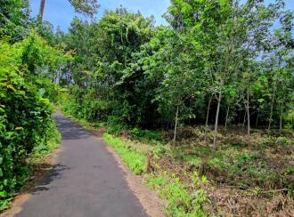 Residential Land for Sale in Kottayam, Pala, Kadaplamattom