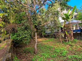 Residential Land for Sale in Ernakulam, Tripunithura, Puthiyakaavu, Bhagat Singh Road (Kaniyavally Road)