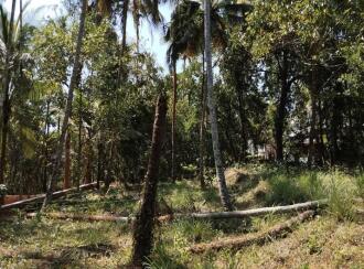 Residential Land for Sale in Kannur, Thalassery, Thalassery town, behind the famous Omas Hotel.