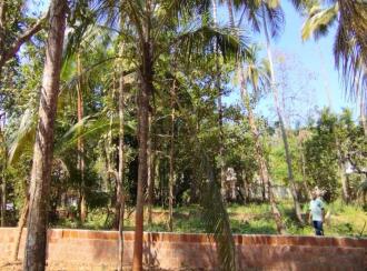 Residential Land for Sale in Kannur, Thalassery, Thalassery town, behind the famous Omas Hotel.