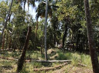 Residential Land for Sale in Kannur, Thalassery, Thalassery town, behind the famous Omas Hotel.