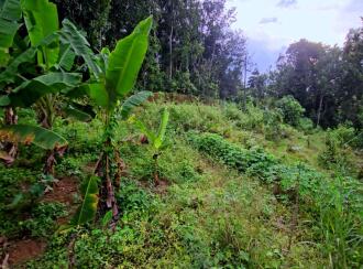 Residential Land for SaleKollam, Kollam, Kundara
