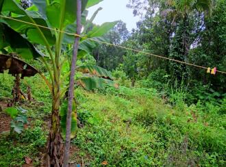 Residential Land for Sale in Kollam, Kollam, Kundara, Mulavanapallimukk kaithakode