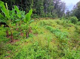 Residential Land for Sale in Kollam, Kollam, Kundara, Mulavanapallimukk kaithakode