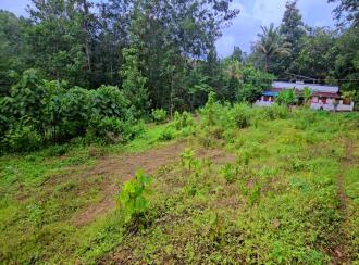 Residential Land for Sale in Kollam, Kollam, Kundara, Mulavanapallimukk kaithakode
