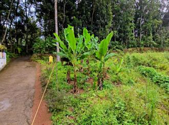 Residential Land for Sale in Kollam, Kollam, Kundara, Mulavanapallimukk kaithakode