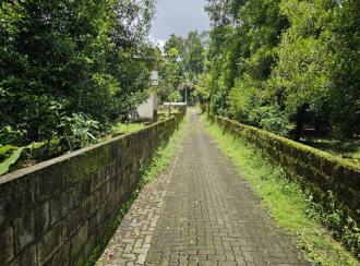 Residential Land for SaleThrissur, Koratty, Chirangara
