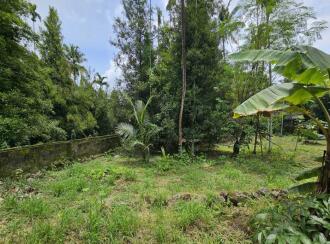 Residential Land for Sale in Thrissur, Koratty, Chirangara
