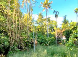 Residential Land for Sale in Thrissur, Koratty, Chirangara