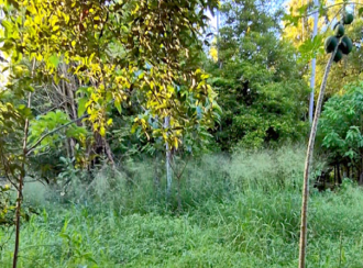 Residential Land for Sale in Thrissur, Koratty, Chirangara