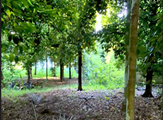 Residential Land for Sale in Thrissur, Koratty, Chirangara