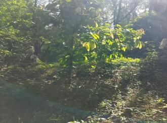 Residential Land for SaleKasargod, East eleri, Kamballur