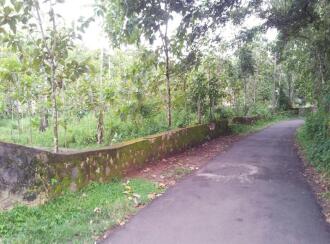 Residential Land for SalePathanamthitta, Thiruvalla, Othara
