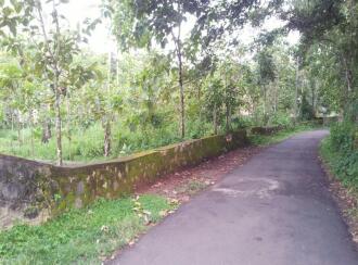 Residential Land for Sale in Pathanamthitta, Thiruvalla, Othara, Pazhayakaavu