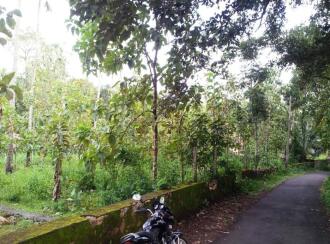 Residential Land for Sale in Pathanamthitta, Thiruvalla, Othara, Pazhayakaavu
