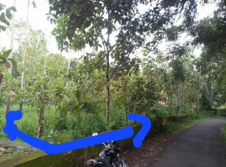 Residential Land for Sale in Pathanamthitta, Thiruvalla, Othara, Pazhayakaavu