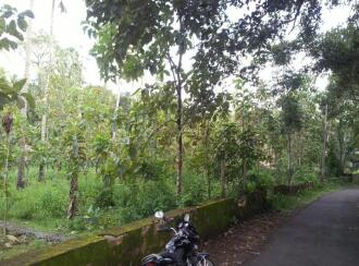Residential Land for Sale in Pathanamthitta, Thiruvalla, Othara, Pazhayakaavu
