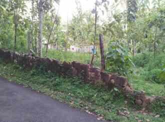 Residential Land for Sale in Pathanamthitta, Thiruvalla, Othara, Pazhayakaavu