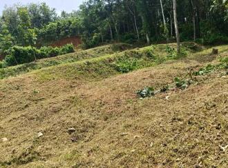 Residential Land for Sale in Pathanamthitta, Konni, Vellappara