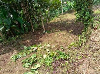 Residential Land for Sale in Pathanamthitta, Konni, Vellappara