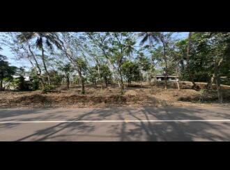 വാസയോഗ്യമായ ഭൂമി വില്പനയ്ക്ക് Kannur, Alakode, Thadikadavu