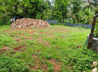 വാണിജ്യ ഭൂമി വില്പനയ്ക്ക് Thrissur, Mala, Vadama, Pathiyari