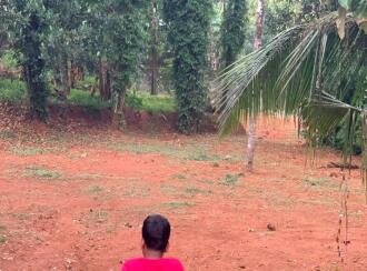 Residential Land for Sale in Kollam, Kollam, Kollam town, Radio Junction
