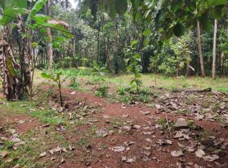 Residential House Villa for Sale in Kollam, Kottarakkara, Nellikunnam, nellikkunnam ambalapuram route
