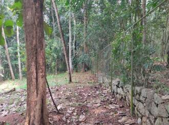 Residential House Villa for Sale in Kollam, Kottarakkara, Nellikunnam, nellikkunnam ambalapuram route