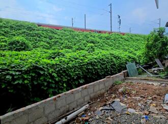 Commercial Building for Sale in Alleppey, Chengannur, Chengannur town, Near TVS Top Haven TVS