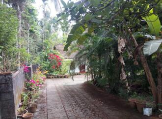 Agricultural Land for SaleWayanad, Sulthan bathery, Kuppady