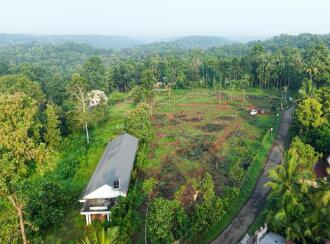 Residential Land for Sale in Pathanamthitta, Ranni, Thadiyoor, Valakuzhy Road, Thadiyoor
