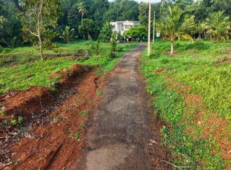 Residential Land for Sale in Pathanamthitta, Ranni, Thadiyoor, Valakuzhy Road, Thadiyoor