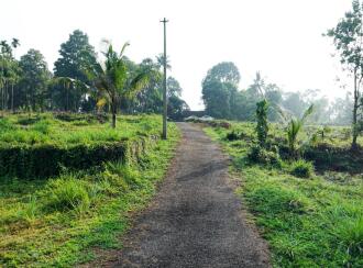 Residential Land for Sale in Pathanamthitta, Ranni, Thadiyoor, Valakuzhy Road, Thadiyoor