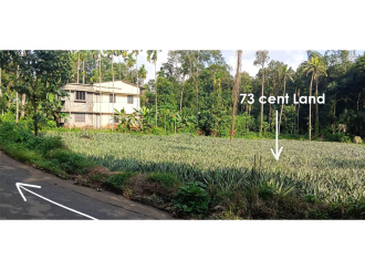 Residential Land for Sale in Idukki, Thodupuzha, Vandamattom