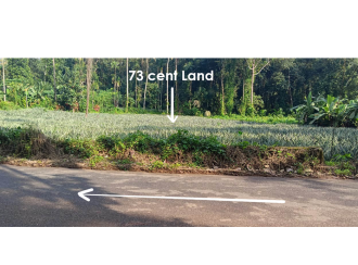 Residential Land for Sale in Idukki, Thodupuzha, Vandamattom