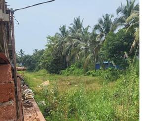Commercial Land for Sale in Kasargod, Kanhangad, Kanhangad, Kovapilly NH frontage Land mark Latest evening news paper office