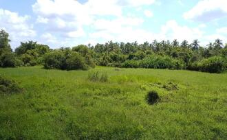 Commercial Land for Sale in Kannur, Payyanur, Karivellur, Highway service road, Near Maruti Service Centre
